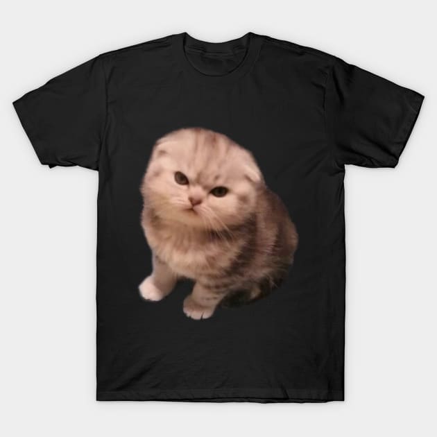 Angry Cat T-Shirt by anacarminda